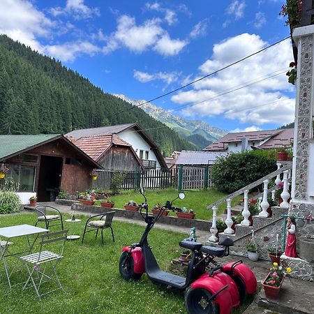Pensiunea Rodica Moeciu De Sus Extérieur photo