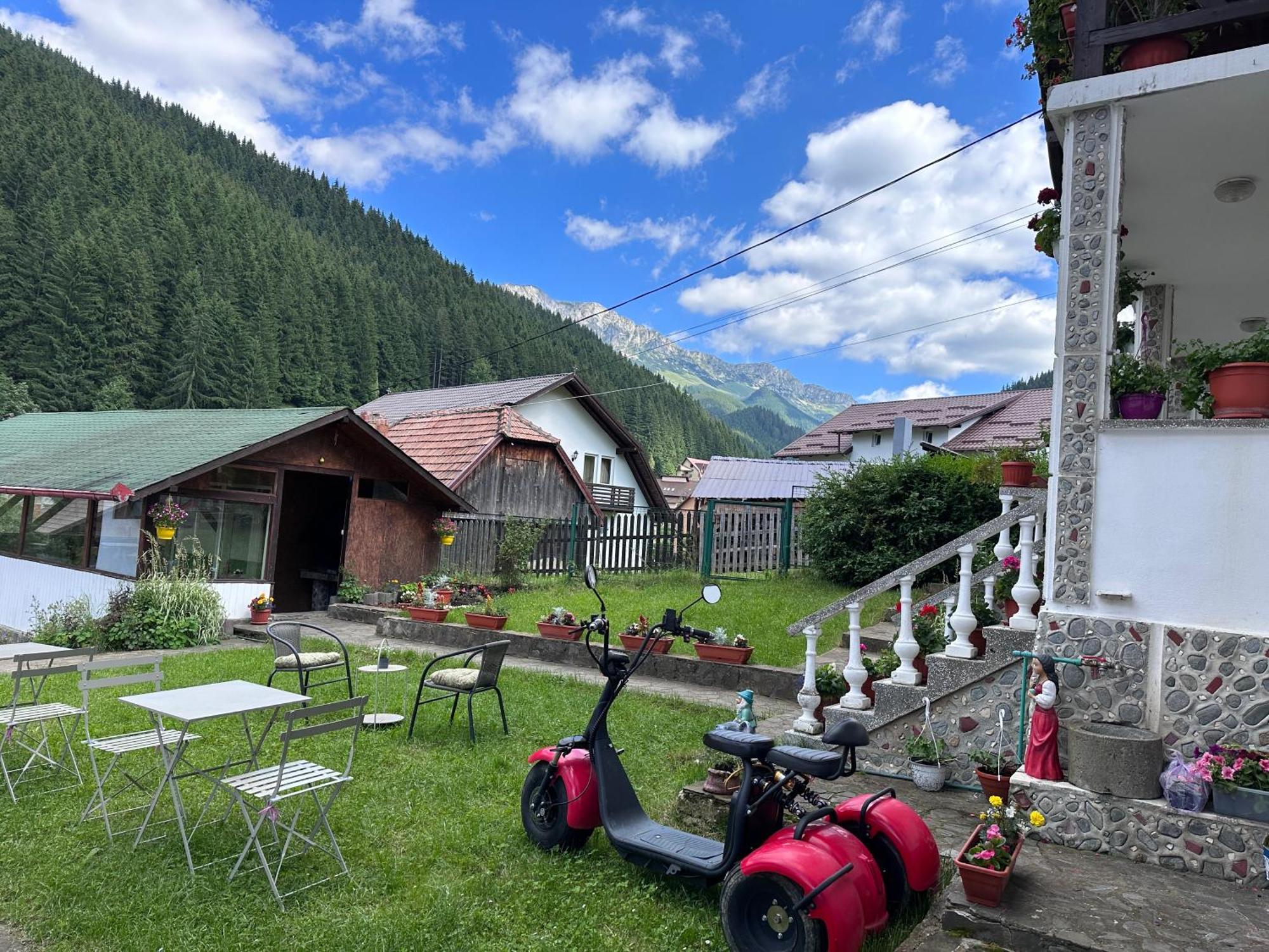 Pensiunea Rodica Moeciu De Sus Extérieur photo